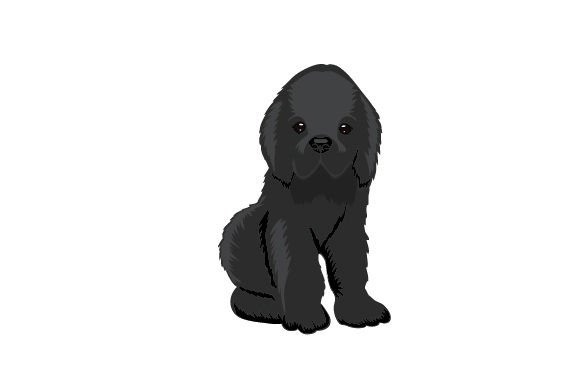 Baby Newfoundland Dog: A Design Review for Makers