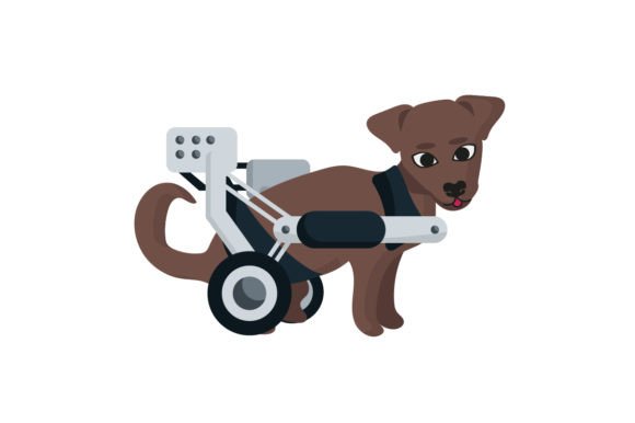 Disabled Dog: A Design with Real Purpose