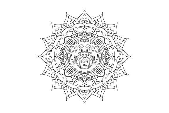 Golden Retriever Dog, Mandala – Close Up
