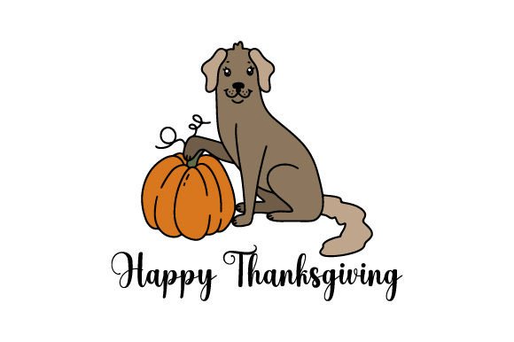 Happy Thanksgiving, Dog – A Designer’s Honest Review