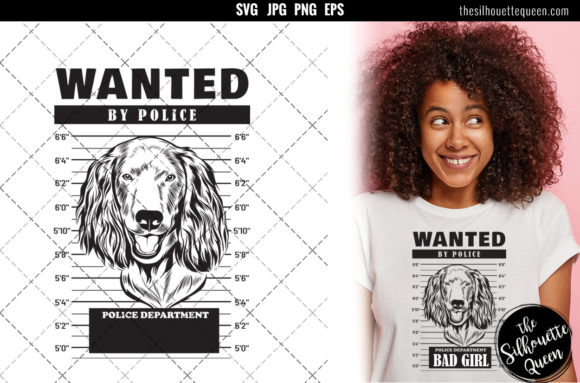 Mugshot of Boykin Spaniel Dog: A Designer's Review