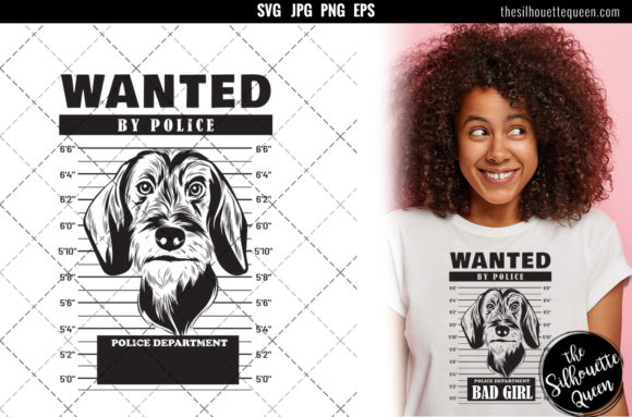 Mugshot of Wire Haired Dachshund Dog: A Design Review