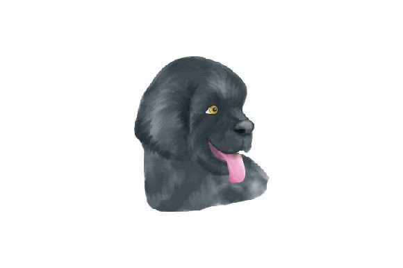 Newfoundland Dog - Face, Watercolor: A Designer's Hands-On Review
