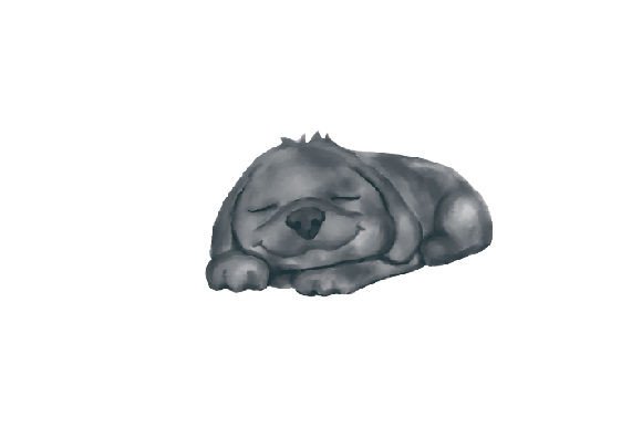 Newfoundland Dog – Sleeping, Watercolor: Design Review