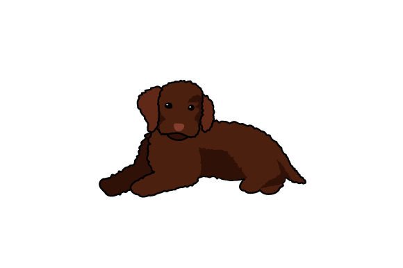 Poodle Dog Laying Down: An Embroidery Designer’s Real-World Review