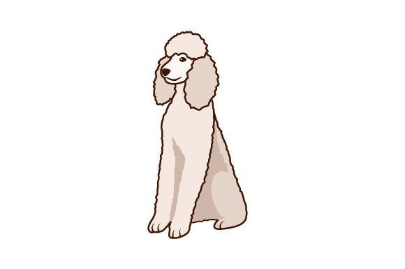 Poodle Dog White: A Hands-On Embroidery Review