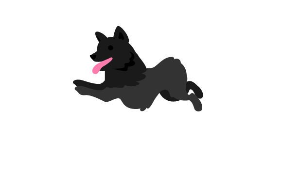 Schipperke Dog Running: A Designerβs Honest Review Before the First Stitch