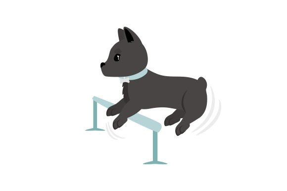 Schipperke Dog Training: A Designer's Evaluation